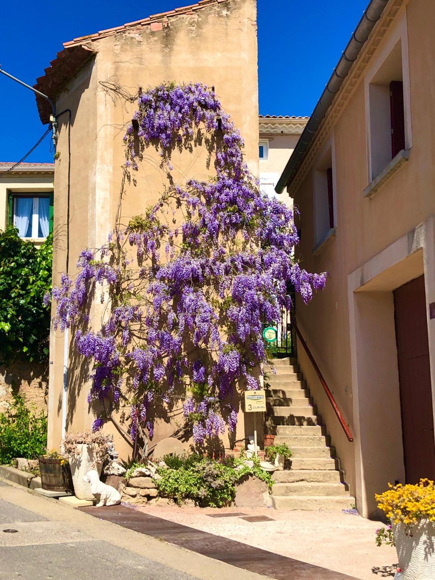 Maison Du Midi, 2 Gites De Charme Ginestas Kültér fotó