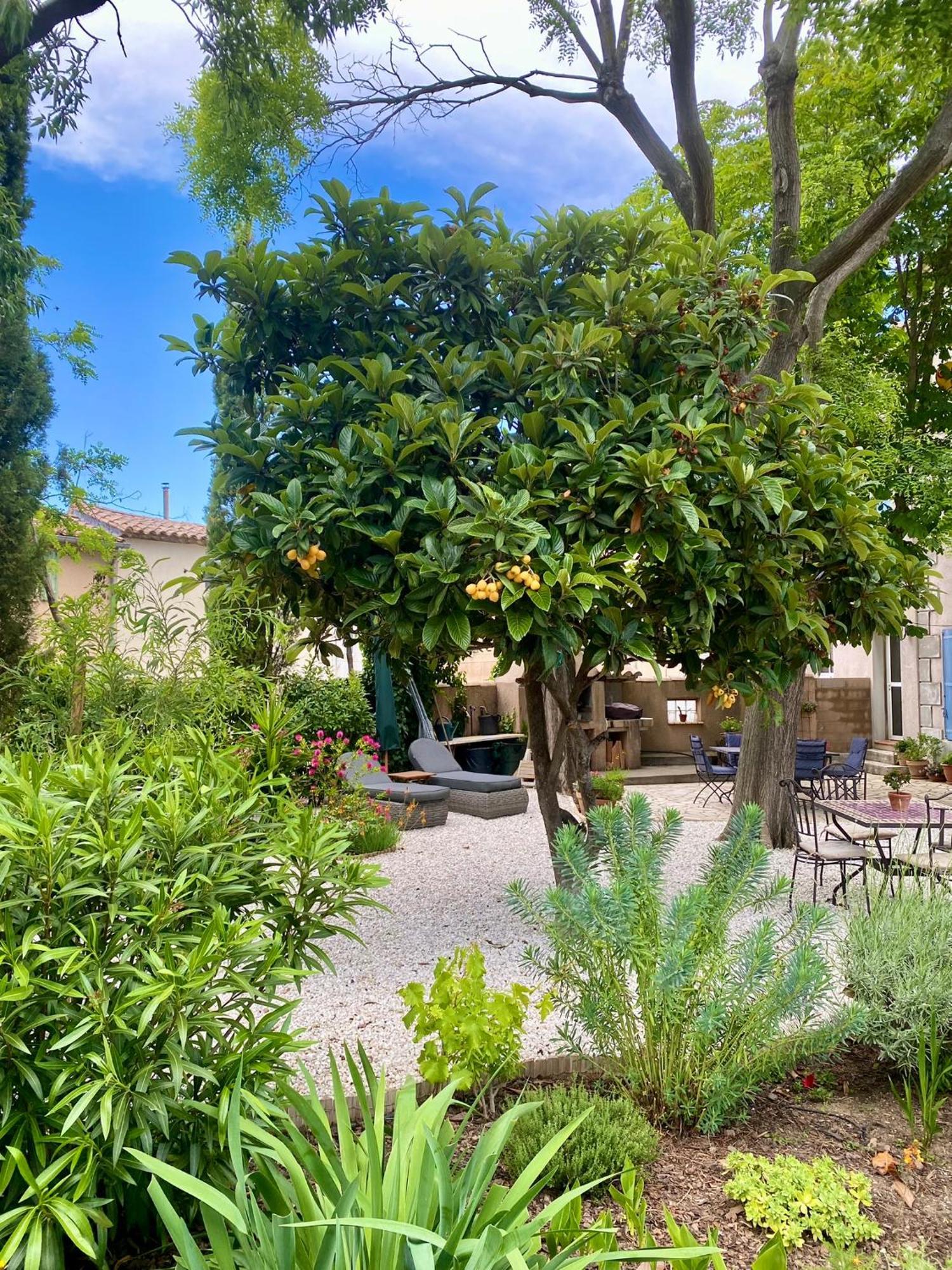 Maison Du Midi, 2 Gites De Charme Ginestas Kültér fotó